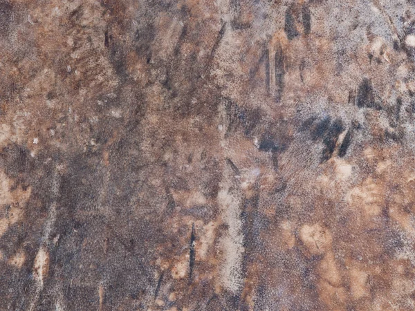 Drumhead için dokulu bir Buffalo deri — Stok fotoğraf