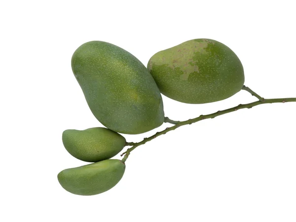 Groene mango set — Stockfoto
