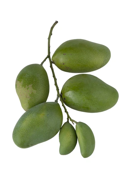 Yeşil mango seti — Stok fotoğraf