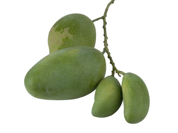 Groene mango set — Stockfoto