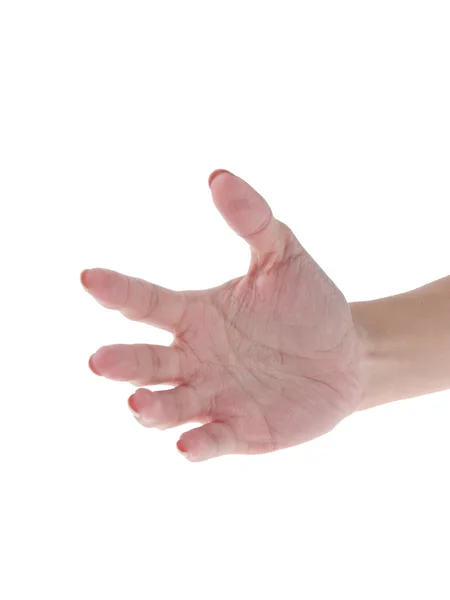 Vrouwelijke handje — Stockfoto