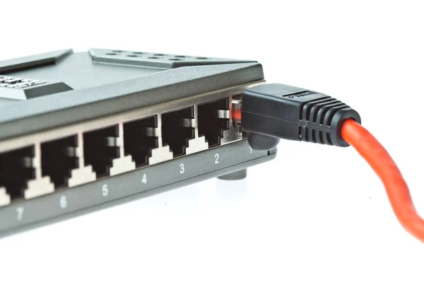 Cavi LAN per computer con router su sfondo bianco — Foto Stock
