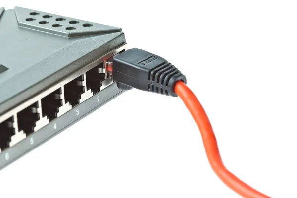 Cables LAN para computadora con router sobre fondo blanco — Foto de Stock