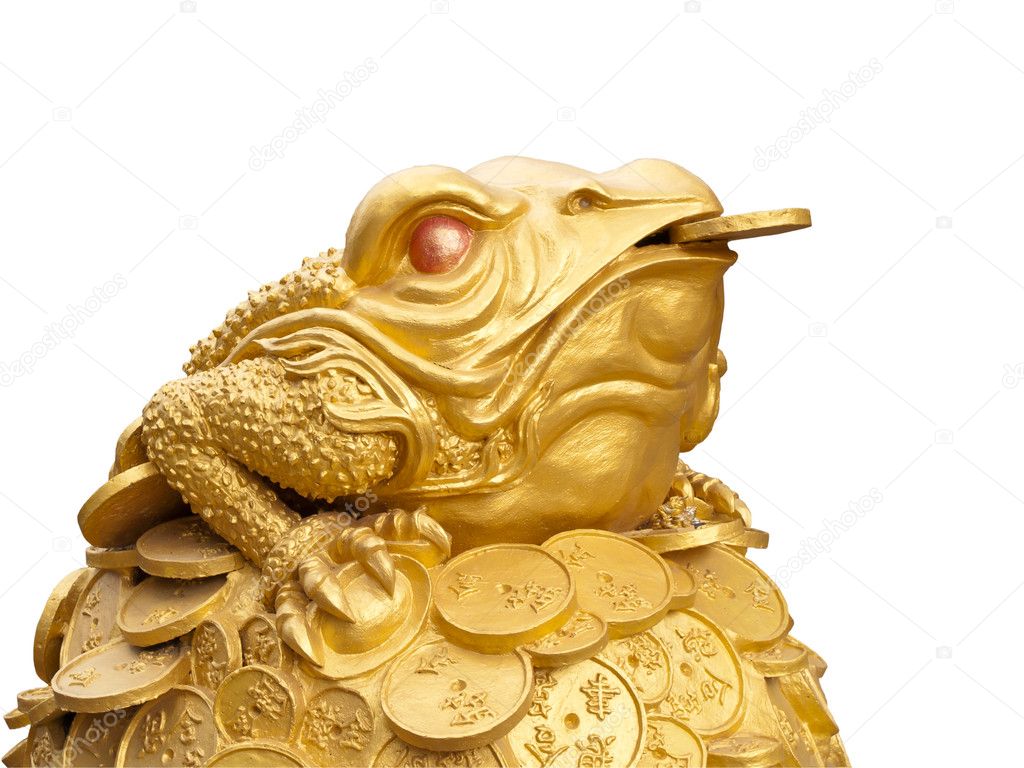 Frog with money on white background