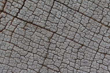 Old cracked wood texture clipart