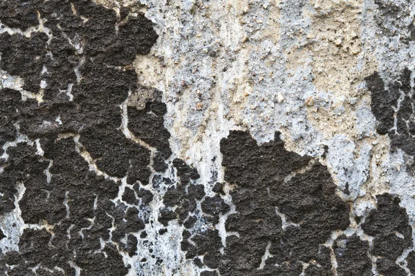 Oude muur met mos — Stockfoto