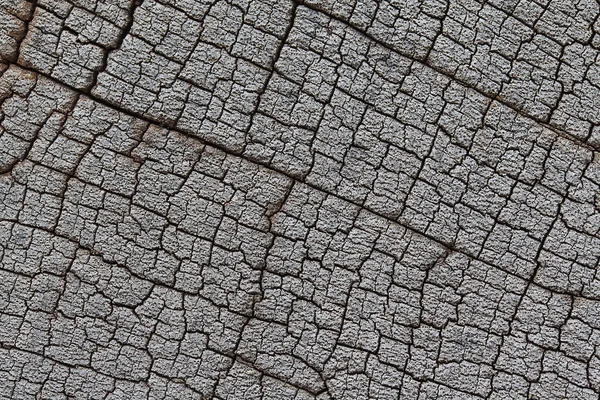 Old cracked wood texture — Stock Photo, Image