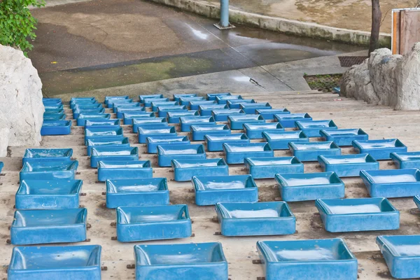 Stare plastikowe niebieskie siedzenia na stadionie — Zdjęcie stockowe