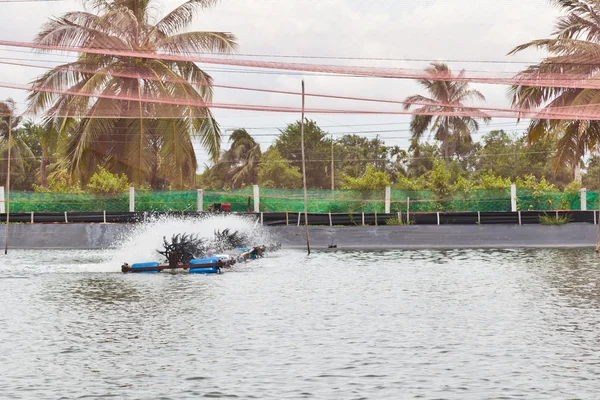 Tratamento de água de fazendas de camarão cobertas com redes de proteção — Fotografia de Stock