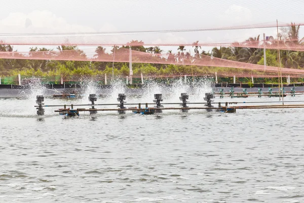 Shrimp Farms covered with nets for protection from bird, ChaChen — Stock Photo, Image
