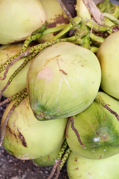 Kokosowego owoce, zielone — Zdjęcie stockowe