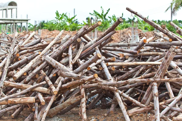 Hromadu eukalyptového dřeva pro stavebnictví — Stock fotografie