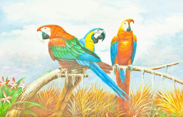 Barevný papoušek papoušek malování — Stock fotografie