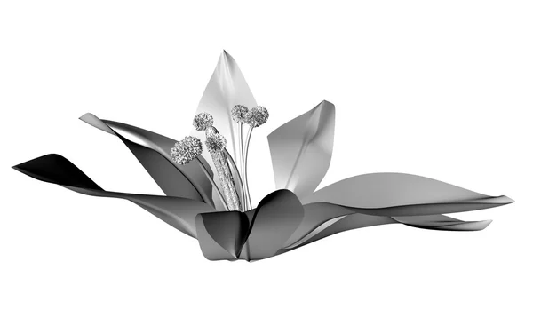 3 d のグレースケールの花 — ストック写真