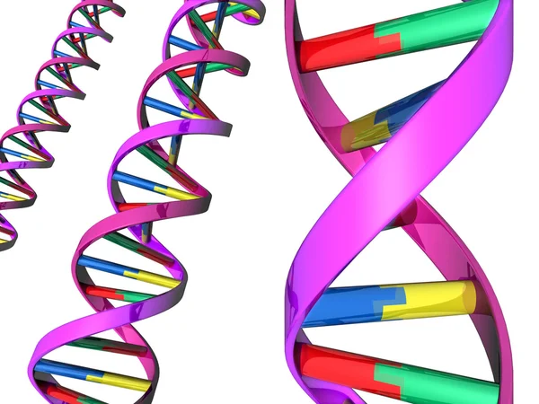 Иллюстрация двойной спирали ДНК — стоковое фото