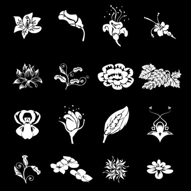 floral design elements clipart