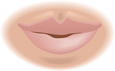 mouth Illustration clipart