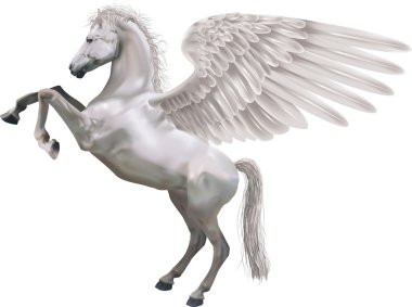 Pegasus at illüstrasyon yetiştirme