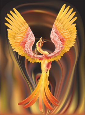 phoenix illustration clipart