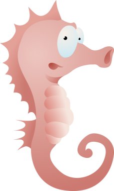 seahorse illustration clipart