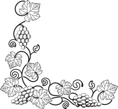 Grape vine design element clipart