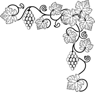 Grape vine design element clipart