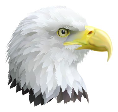 Eagle clipart