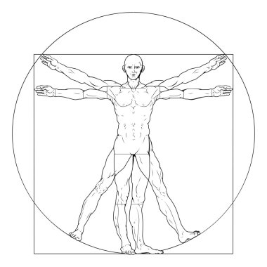 Vitruvian man clipart