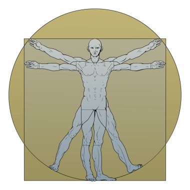 Vitruvian man clipart