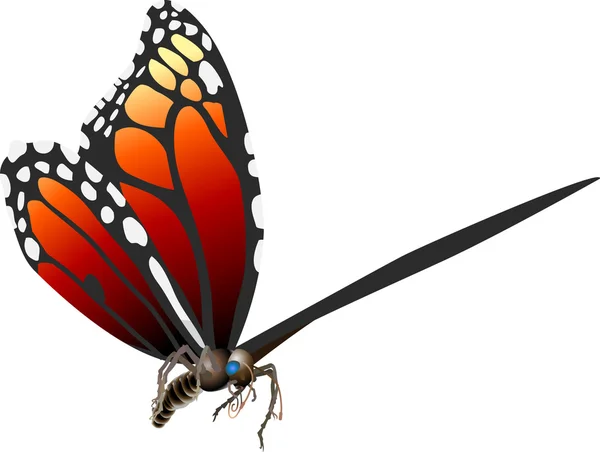 Motýl ilustrace — Stockový vektor