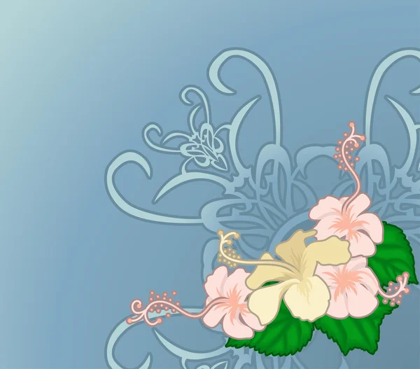 Hibiscus illustration — Stock Vector
