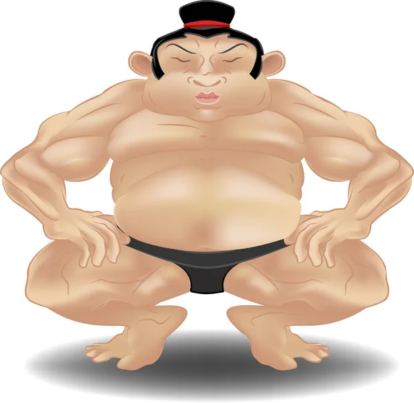 stock vector sumo westler illustration