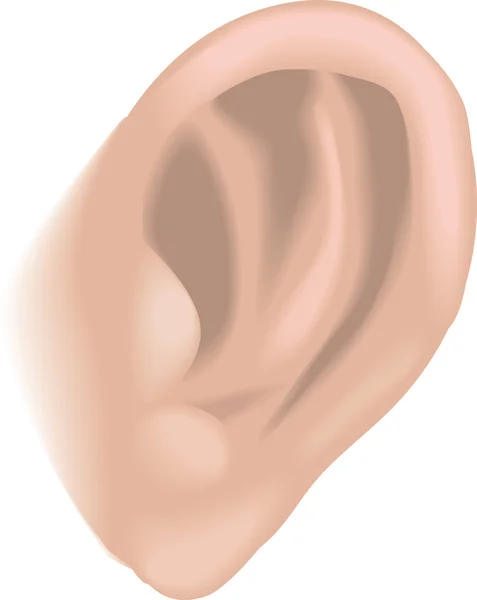 Illustrazione dell'orecchio — Vettoriale Stock