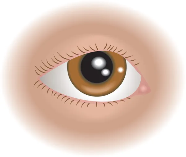Oko ilustrace — Stockový vektor