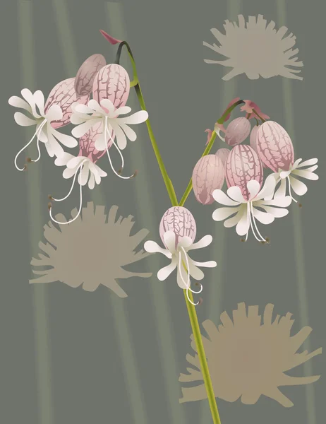 美しい野生の花 — ストックベクタ