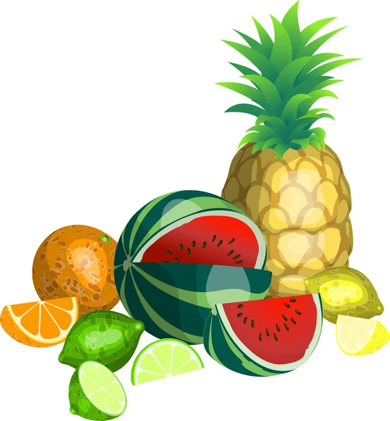 Illustrazione della frutta — Vettoriale Stock