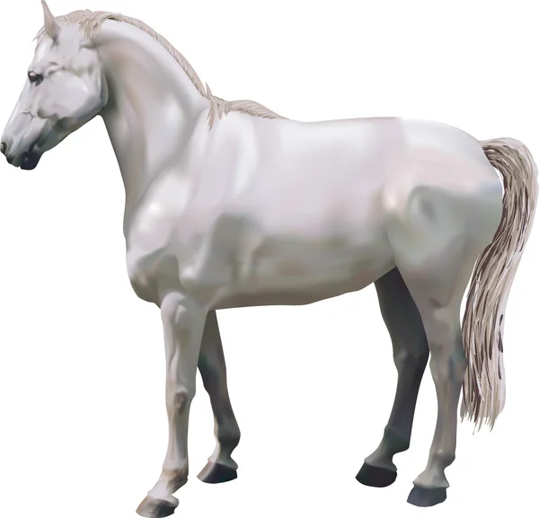Ilustracja konie — Wektor stockowy