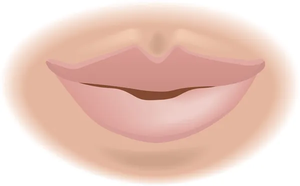 Illustration de bouche — Image vectorielle