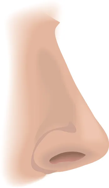 Нос в нос — стоковый вектор