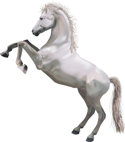 Разведение лошадей — стоковый вектор