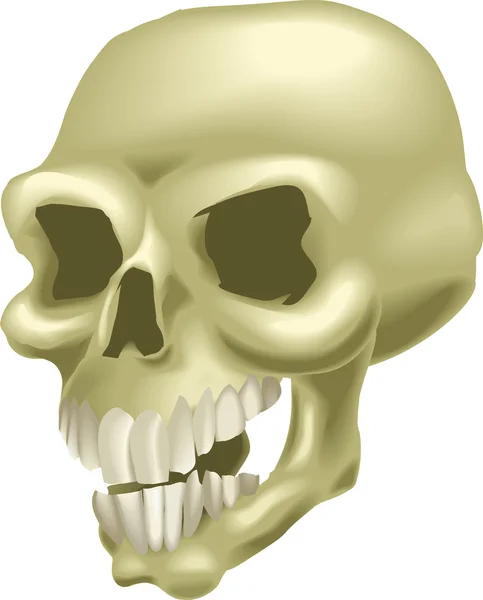 Illustrazione del cranio — Vettoriale Stock