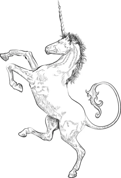 Unicornio — Archivo Imágenes Vectoriales