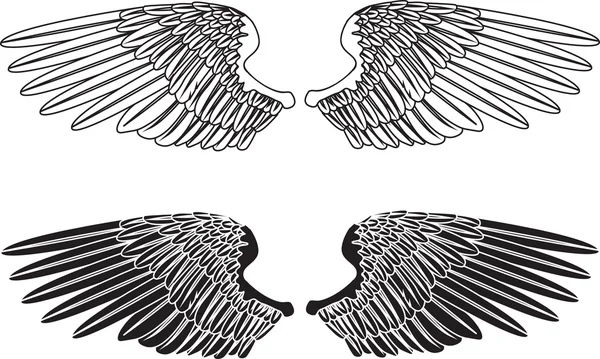 Black and White Wings — Stock Vector