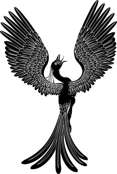 Fekete-fehér phoenix — Stock Vector