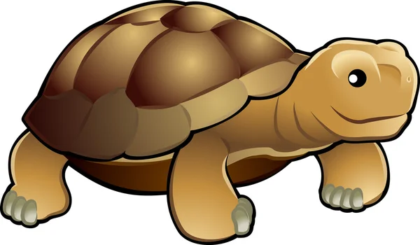 Schattige schildpad vectorillustratie — Stockvector