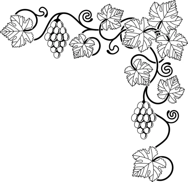 ブドウのつるのデザイン要素 — ストックベクタ