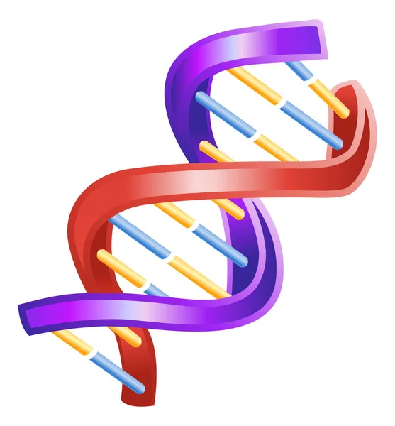 Illustratie van glanzende dna dubbele helix — Stockvector