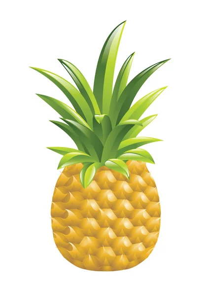 stock vector pineapple illustration