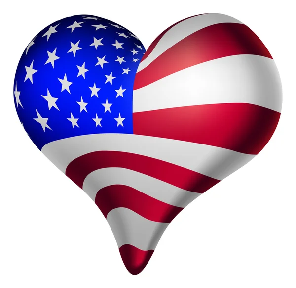 American hearts and minds — Stock Vector
