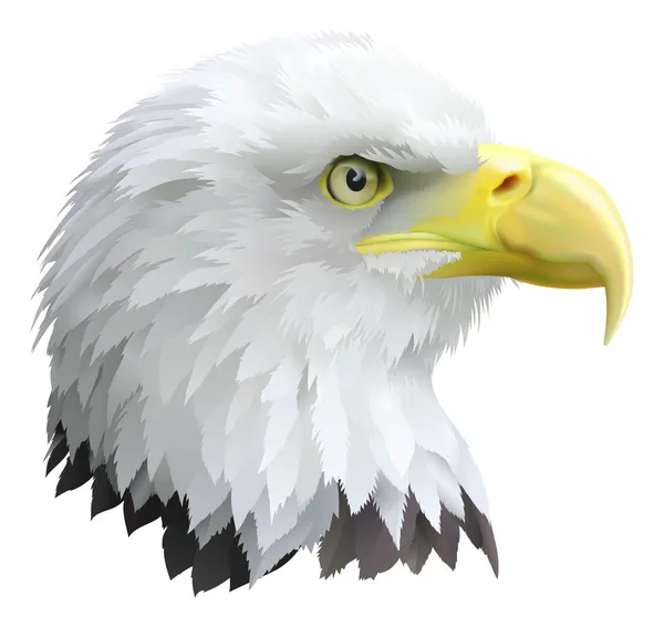 Eagle — Stock Vector